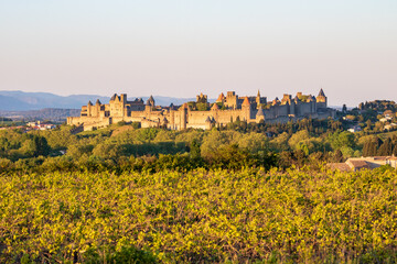 Fototapeta na wymiar La Cité de Carcassonne au crépuscule - Aude