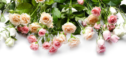 Different beautiful roses on white background