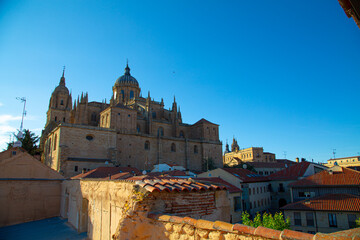 Fototapeta premium Vista de catedral de Salamanca, fachadas y detalles de trabajo en piedra