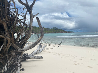 Obraz premium seychelles