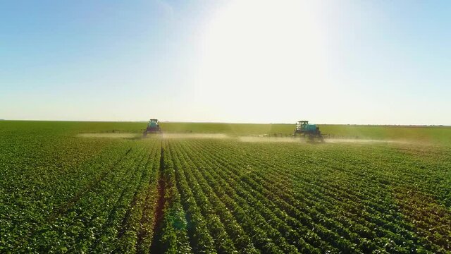 Agribusiness - Agricultural machines spraying soybean crop, aerial drone image moves over crop, blue sky.