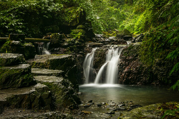 Plakat waterfall in the forest