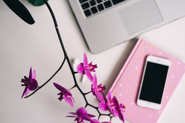 orchid flower, notepad and laptop. cozy place to work and relax. remote work from home. flower focus
