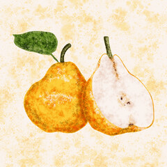 Yellow pears with green leaves hand drawn illustration