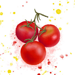 Red tomatoes with green leaves hand drawn illustration