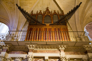 Gran órgano de catedral 