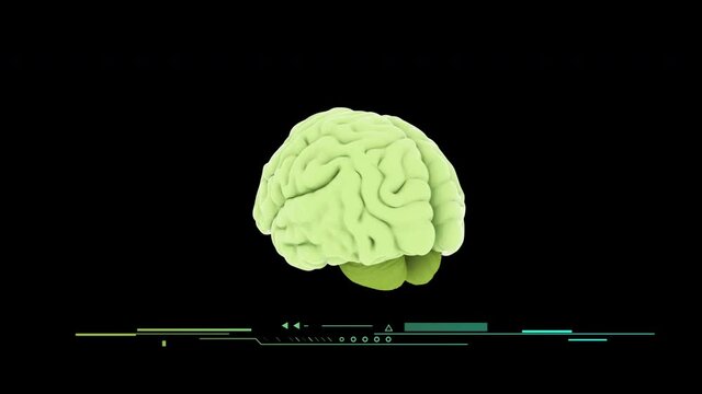 Isolated human brain rotating on a black background