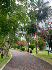 A day in the Maldives, a paved road among palms, bushes and trees with red flowers