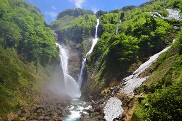 立山 称名滝　新緑の季節