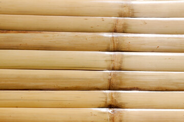 Bamboo Wood pattern for nature Background.