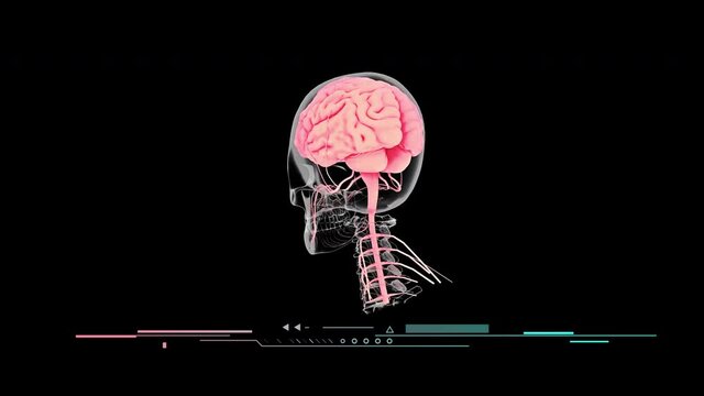 Human brain rotating in a technology background headshot 