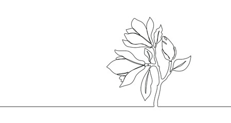 Magnolia. One single line. Vector illustration. Doodle floral border