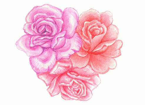 Hand drawn watercolor illustration.Heart from roses.For greeting card,valentine's day,mother's day.