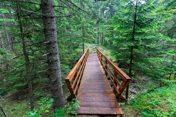 Obraz premium Wooden footbridge on trail in nature park for trekking.