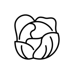 Cabbage thin line icon. Vegetable, ingredient for salad. Healthy organic food. Vector illustration.