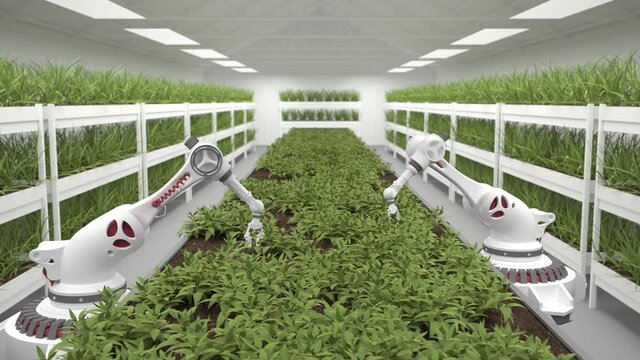 Robotic hands take care of fresh, young, green plants in a huge, modern greenhouse. Healthy food of the future.