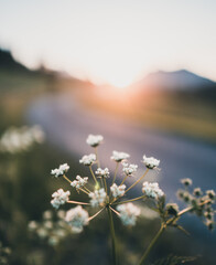 Kleine Strasse in den Alpen