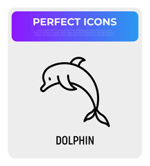 Cartoon jumping  dolphin thin line icon. Modern vector illustration.