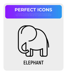 Cartoon elephant thin line icon. Modern vector illustration.