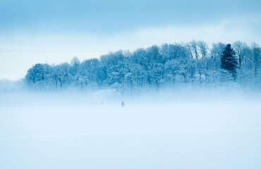Foggy winter landscape. People walking on the frozen sea.  Snow covered trees.