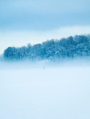 Foggy winter landscape. People walking on the frozen sea. Snow covered trees.