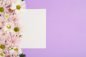 Beautiful chrysanthemum flowers and blank card on violet background, flat lay. Space for text