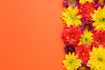 Beautiful chrysanthemum flowers on orange background, flat lay. Space for text - Powered by Adobe