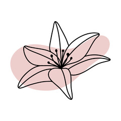 Lili. Minimal tropical flower in line art style. Boho jungle flower outline. Elegant hand drawn flower. Botanical design element and abstract shape