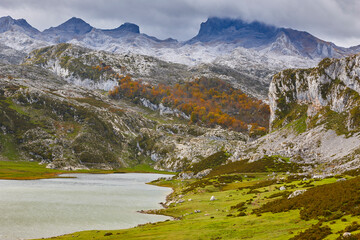 Naklejka na ściany i meble Mountain landscape in Asturias. Lagos Covadonga. Picos de Europa. Spain