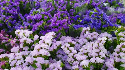 Bouquet of flowers in blue
