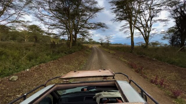 Driving An Open Topped Safari Vehicle Through Dirt Road Of Lake Nakuru National Park In Kenya. POV