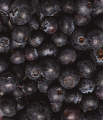 blueberries
