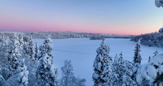 Aerial view in middle of snowy trees, revealing a frozen lake and frosty mountains of Lapland, vibrant polar night sky - rising, drone shot