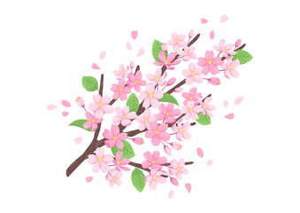 桜の枝木イラスト　白背景にベクターイメージ　桜の花と葉が咲く木