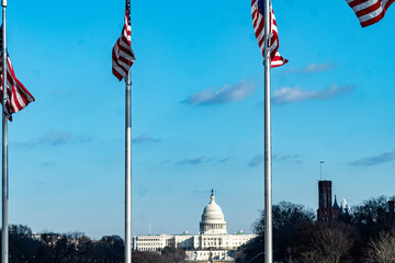 United States Capitol Building - Washington, DC 
- This is where all of the congressmen and congresswomen work (House of Representatives and Senate)