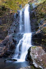 Fototapeta na wymiar 滝、紅葉、流れ、水鏡、森