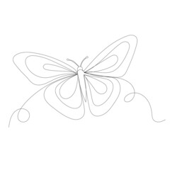 flying butterfly continuous line drawing, sketch, vector