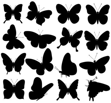 butterfly set, silhouette, white background, vector