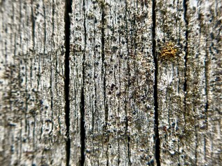 texture