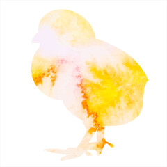 chicken watercolor silhouette on white background, vector