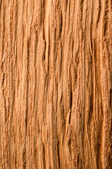 vertical macro wood texture
