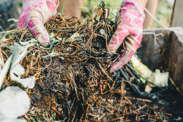 Processing agricultural waste into compost