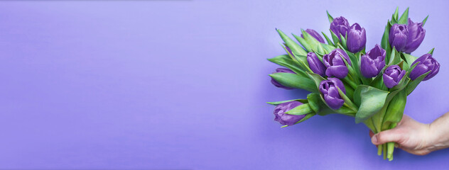 mans hand holding bouquet of fresh flowers tulips on very peri purple background. banner