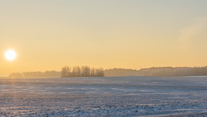 Winter landscape in snow nature with sun, field and trees. Magical winter sunset in a snow field.