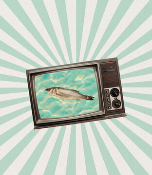 Contemporary art collage and modern design. Fish in retro tv set. Concept of idea, inspiration, creativity and art. Minimalism