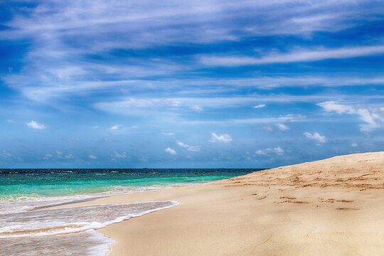 Beautiful paradise wild beach. Ocean, sand and palm trees.