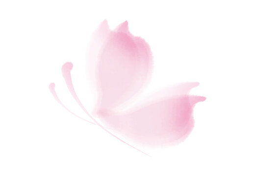 蝶　花びら　水彩	桜