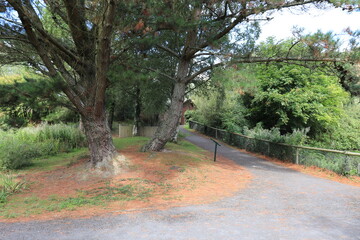 Path in the park