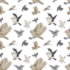 Vector repeatable seamless pattern with the different kinds of birds.