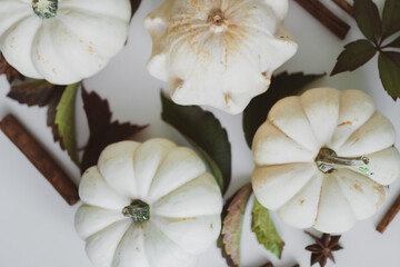 Background of small white and yellow pumpkins on the table.